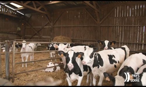 Fermes bas carbone : la Région accompagne les agriculteurs